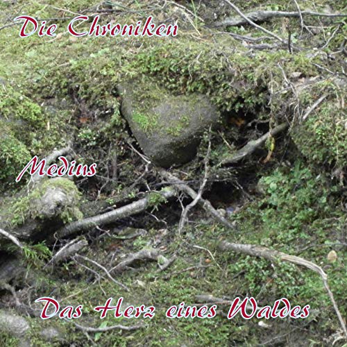 Mitte - Das Herz eines Waldes