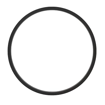 Masoneilan 400088-310-946 Seal Ring | Tec-Seal, PTFE/Graphite | Replacement Part | for Critical, Utility, Process Equipment