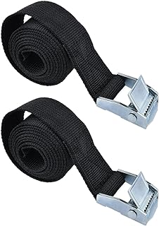 2PCS Lashing Straps with Buckles