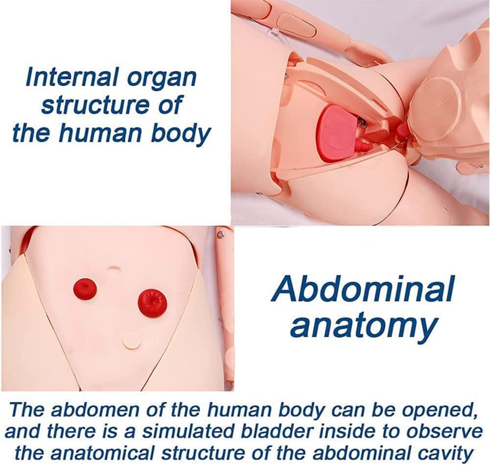 1,5 m Lebensgröße Patientenpflege Manikin Training CPR Simulator Männer und Frauen Austauschbare Still-Manikin für medizinische Pflege, Bildung, Unterricht, PVC
