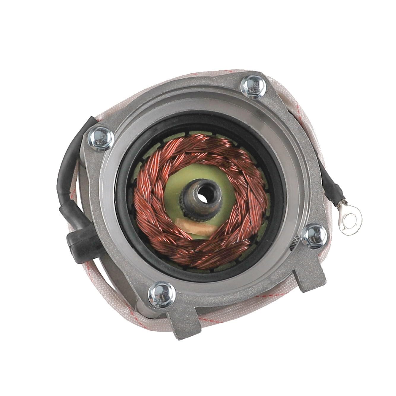 Starter Motor Internal View