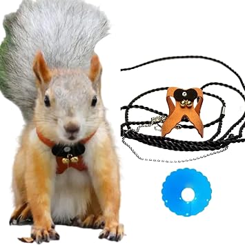 Squirrel Traction Rope Strap Anti-Biting Chain Rope, Adjustable Vest, Small Animal Walking Harness with Lead Leash with Free Collar for Hamster Gerbil Rat Mouse Ferret Chinchilla Yellow