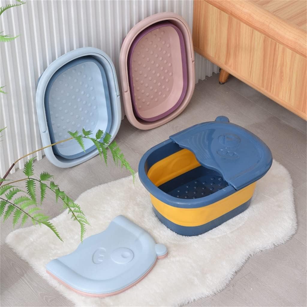 多肉植物❤️アエオニウム錦❤️ カルミン*エメラルド ❤️状態図