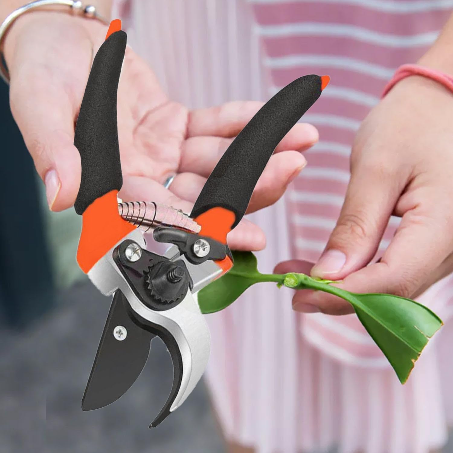 Wowli Cutter β High-Precision Stainless Steel Cutter with Ergonomic Handle for Clean, Accurate Cuts 3