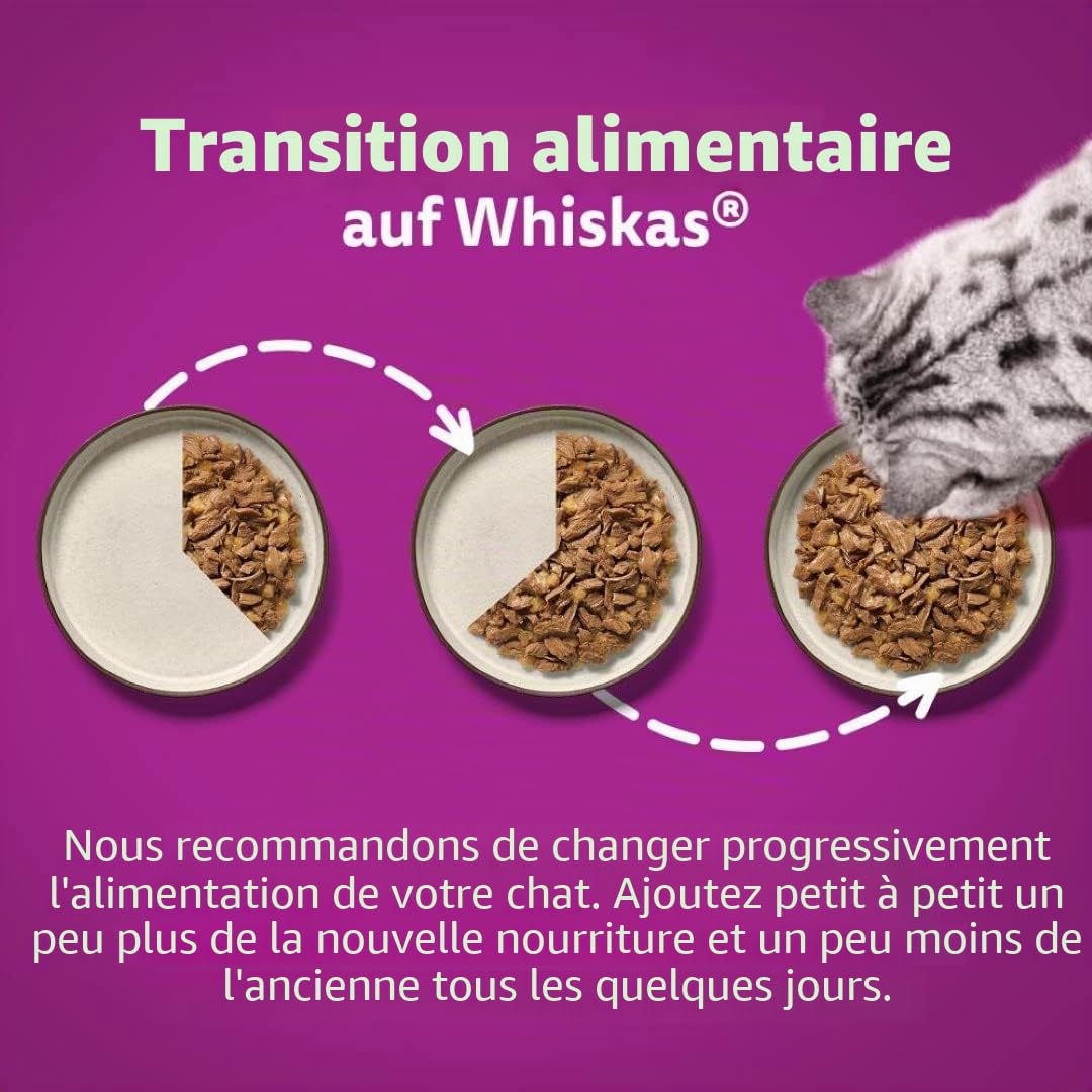Whiskas 1 + Nourriture pour Chat au Choix en gelée, 12 x 85 g (4 Paquets) – Nourriture Humide de qualité supérieure pour Chats Adultes en 48 sachets portions