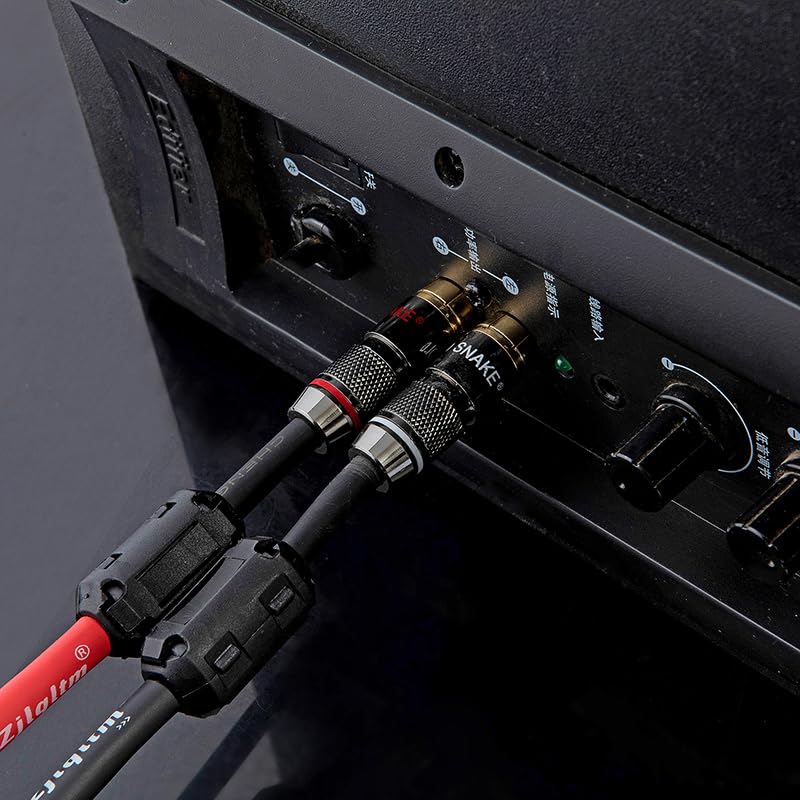 Two to Two 2AV red and White Dual Lotus Heads, Two AV Audio Cables, subwoofer, Audio amplifier16FT