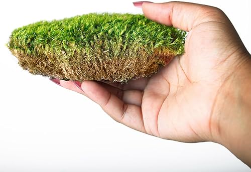 Miniatura 2 de SuperMoss - Musgo decorativo preservado., Verde fresco