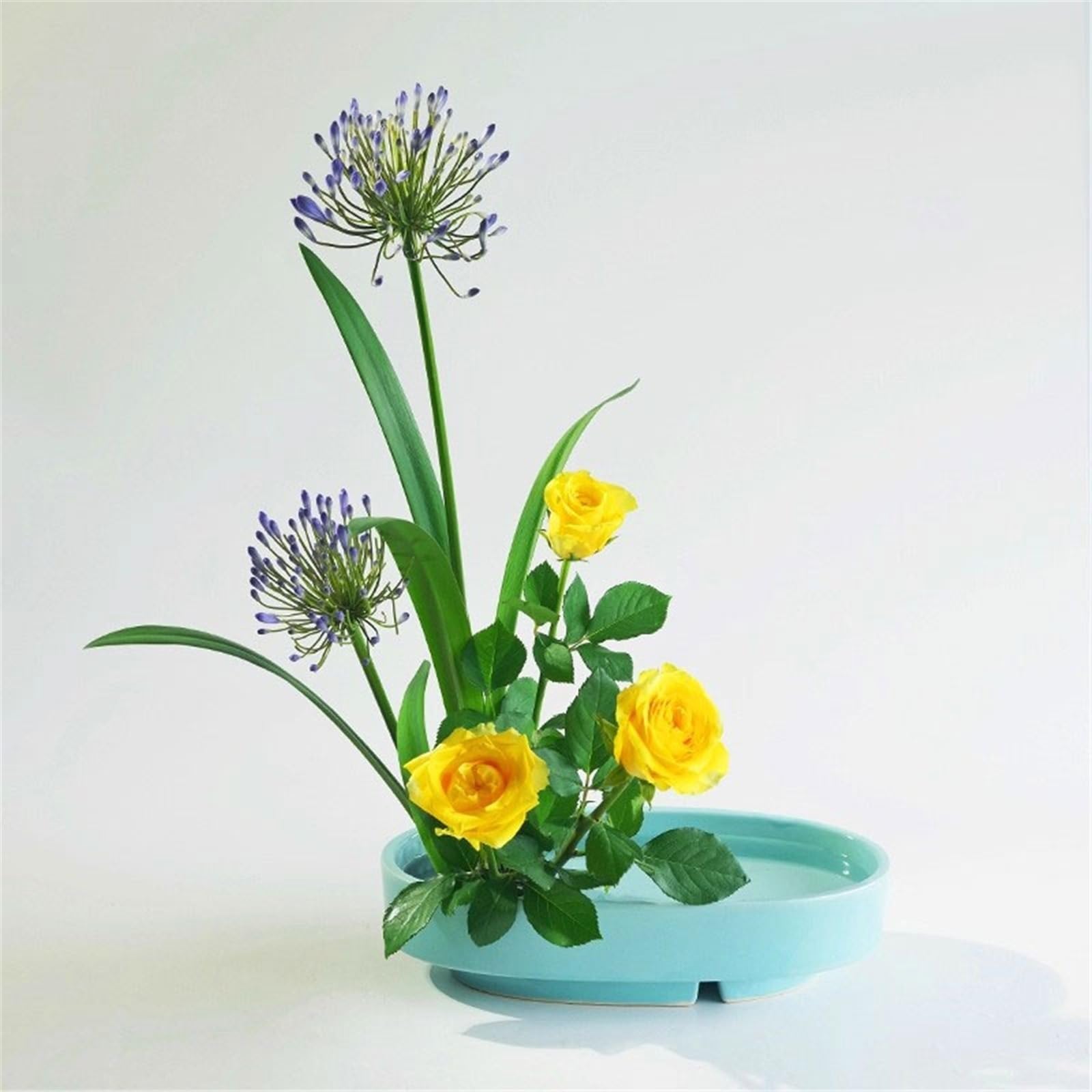 Sottovasi per Fiori Vassoio raccogligocce in Ceramica Minimalista Vaso(Blue)