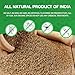 Jiva Organics Organic Ajwain Seeds 7 ounce Bag - Whole Carom Seed, Ajamo, 100% Natural & Non-GMO