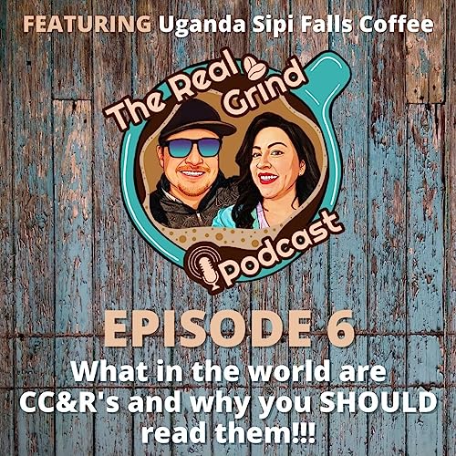 Episode 6: What the heck are CC&R&rsquo;s and why you SHOULD read them!!!