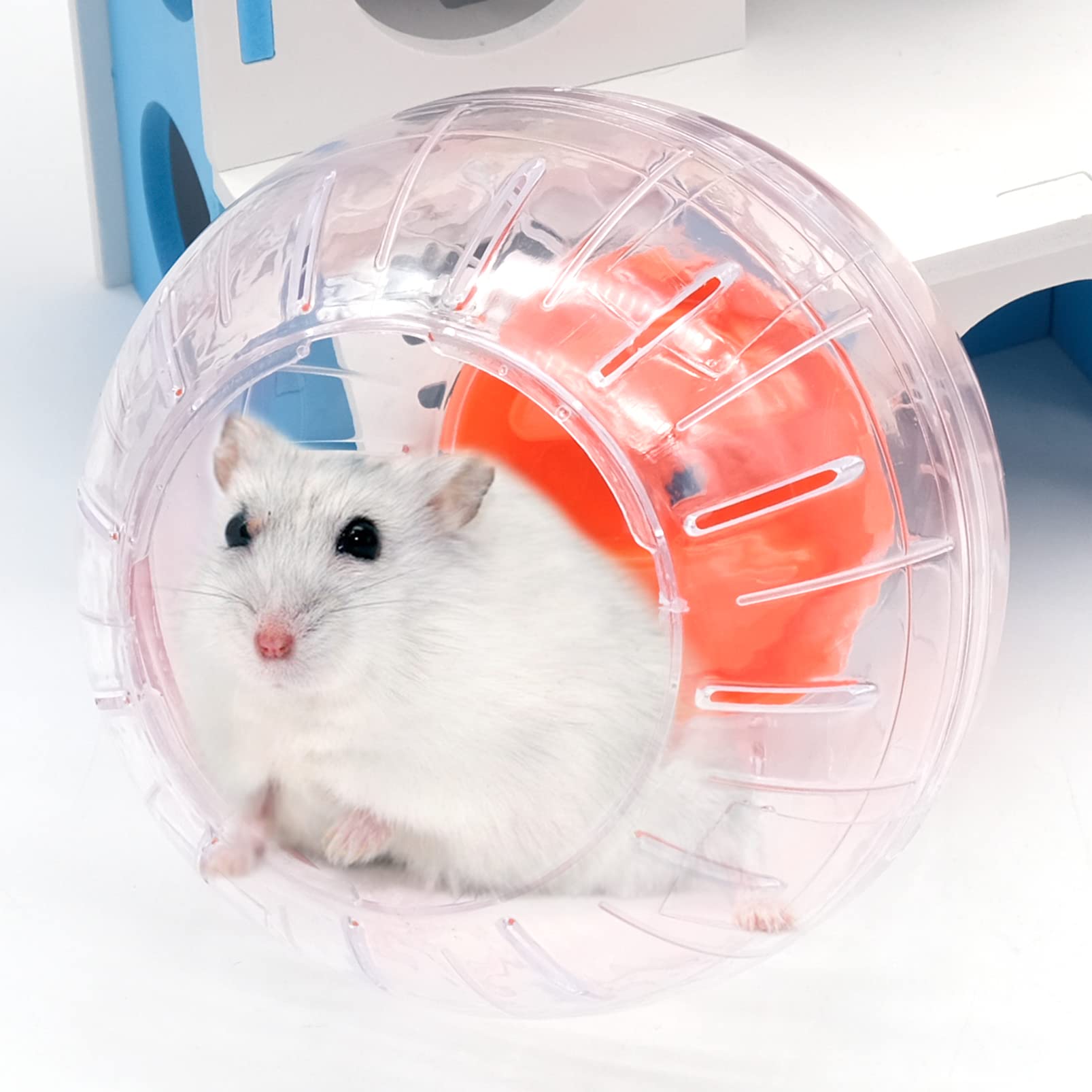 2 Pezzi Palla Criceto, Palla da Corsa per Criceto, Palla Fitness Criceto Plastica, Palline Esercizio Trasparente, Ruota di Corsa per Hamster Animali Roditori Nano Gerbilli (Rosso+Arancione)