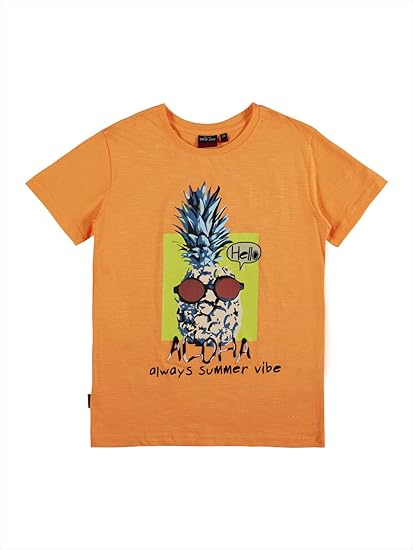 Gini & Jony Baby-Boys Regular fit T-Shirt