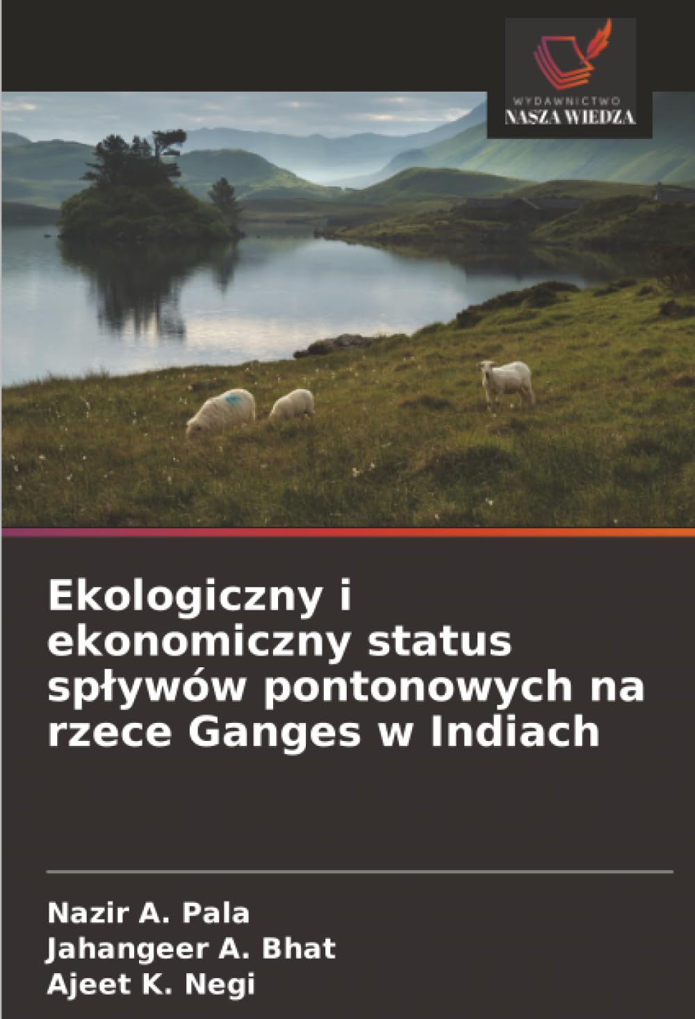 Ekologiczny i ekonomiczny status splywów pontonowych na rzece Ganges w Indiach