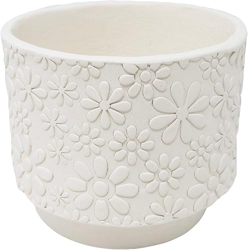 Miniatura 4 de ACTIVA Blackjack Low Fire Clay, 25 libras Blanco