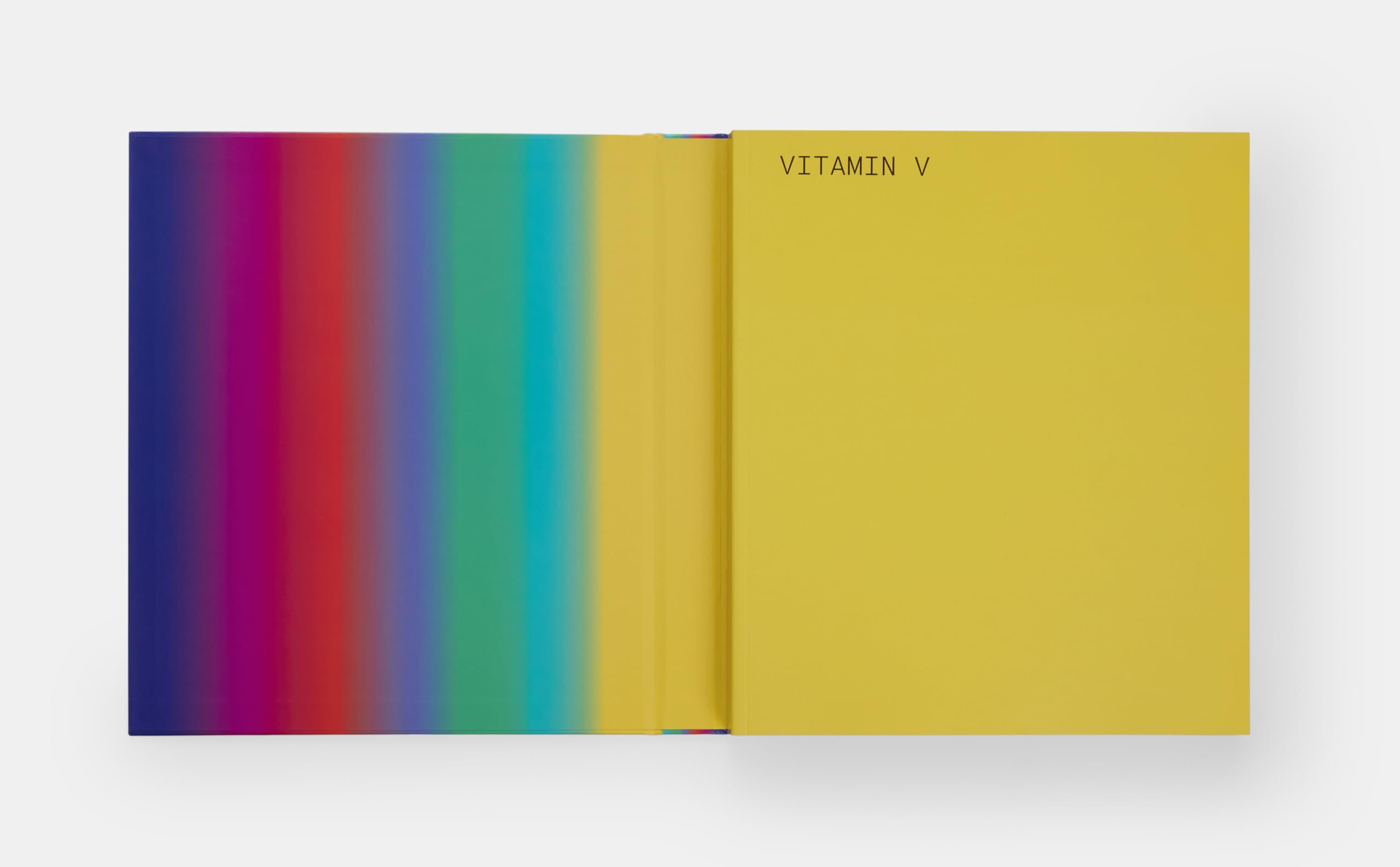 Vitamin V: Video and the Moving Image in Contemporary Art