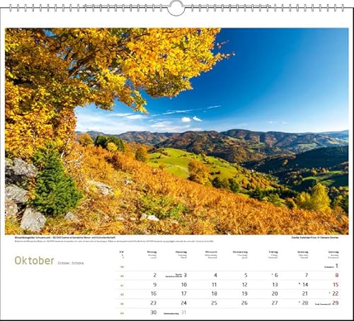 Compare prices for Stadler Kalender across all Amazon European stores