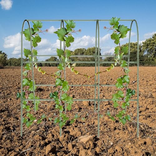 Treillis de concombres pour le jardin support stable en métal - 4
