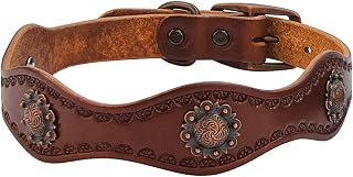 Weaver Leather Sundance dog collar with scalloped edges and decorative conchos