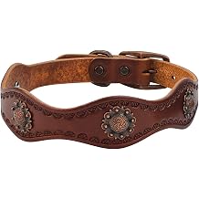 Weaver Leather Sundance Dog Collar