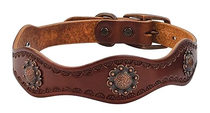 Weaver Leather Sundance Dog Collar, 5/8 x 11-Inch, Brown