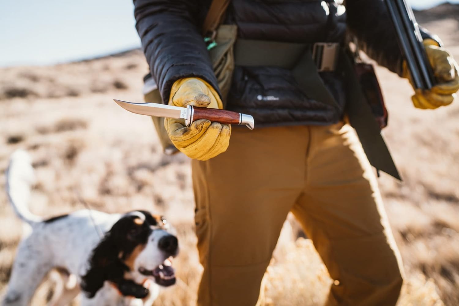 Buck Knives 102 Woodsman Fixed Blade Hunting Knife, 4" D2 Stainless Steel Blade, Cocobolo Handle : Sports & Outdoors