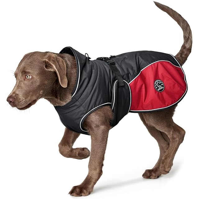 Foto 6 de 8 de HUNTER Abrigo para Perro Uppsala Cozy, 30 cm, Antracita/Rojo