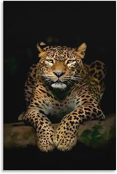 Animal Art Leopard Jaguar Poster Pictures Canvas Wall Art Posters For Room Aesthetic And DecorCanvas Painting Posters And Prints Wall Art Pictures for Living Room Bedroom Decor 24x36inch60x90cm Unf