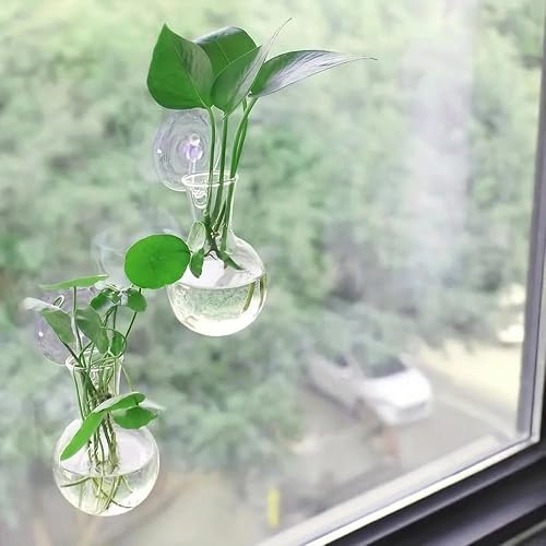 Mini Wall Hanging Plant Propagation Bottles 2-Pack PET Hanging Vases,