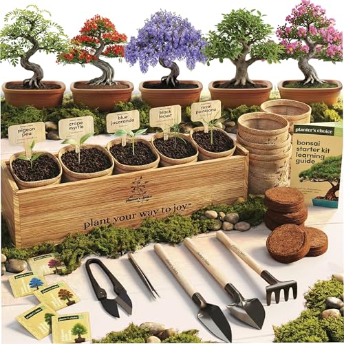 Planter's Choice Bonsai Tree Starter Kit - Unique Gifts for