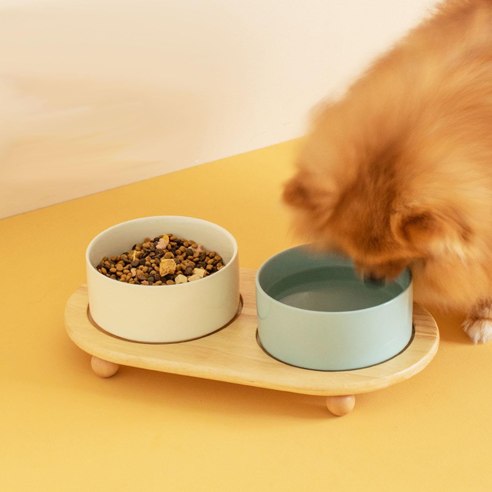 Ensemble de 3 Gamelles surélevées pour Chats avec Support, en Céramique. Structure Stable et Sûre, Idéale pour Les Petits Chats, Beige
