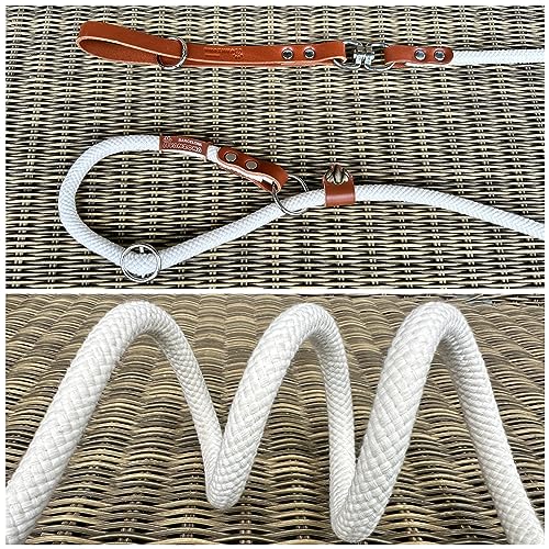 Hundeleine mit Halsband, 2 in 1, Baumwolle und Leder, für kleine, mittlere und große Hunde. Weiß&Cognac