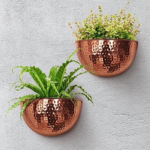 Allegorie Metal Wall Planter | Indoor Or Outdoor Hanging Plant Pot | Farmhouse Decor & Boho Kitchen Decoration For Herbs & Succulents And Living Wall 12X7 (Copper) #TOP4