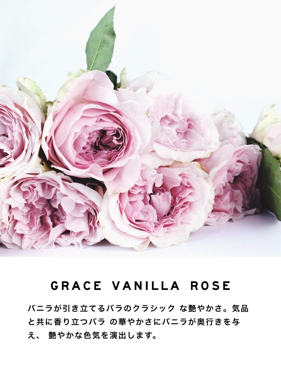 Amazon.co.jp: LAYERED FRAGRANCE(レイヤードフレグランス) ボディ
