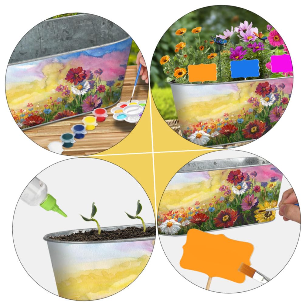 Maceta de Hierro Enseña Botánica y Creatividad para Niños Kit de Jardinería para Plantar Hierbas Aromáticas y Adecuado para DIY y Entretenimiento Familiar DIY Entretenimiento Familiar