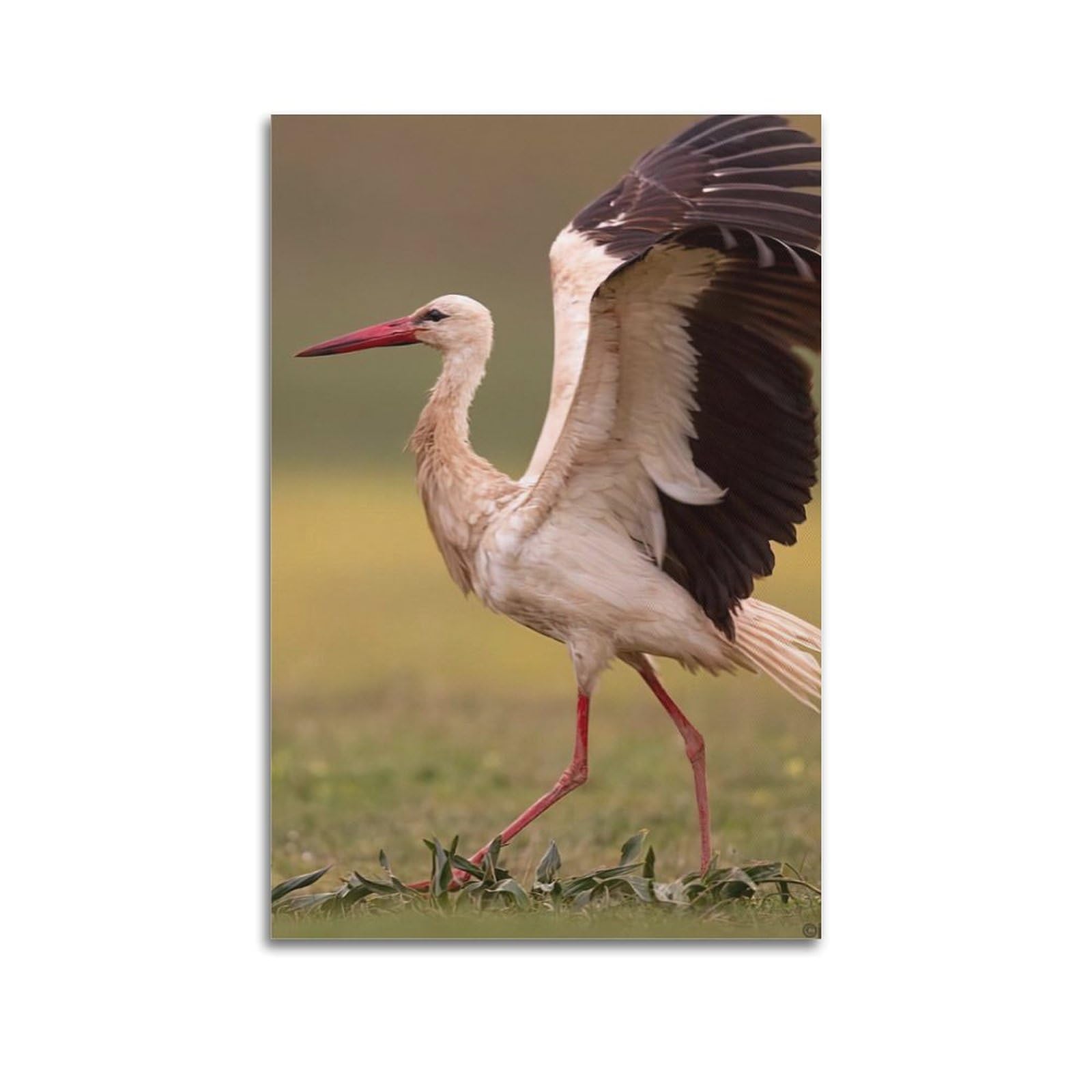 Wsls Unframe-Style Animal Birds Poster Spreading The Wings Of The White Stork Decorative Canvas Wall & Art Poster Painting 24X36inch(60X90cm)