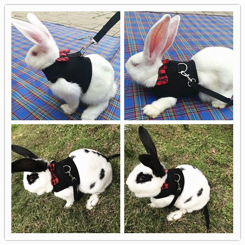 Bunny Kitten Harness No Pull Cat Leash Stylish Vest Harness For Small Animal Adjustable Soft Breathable Walking Harness Set (Black, L) #TOP6