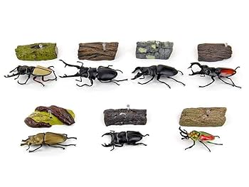 Amazon.co.jp: カロラータ クワガタムシ 立体図鑑 (7種 / 解説書