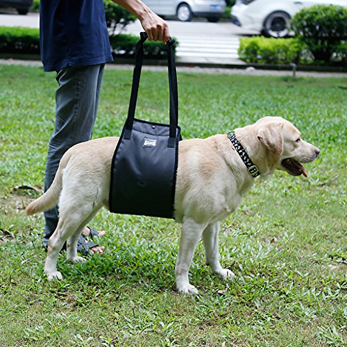 Flameer Arnês de suporte para cães, arnês para levantar cães com alça de suporte ajustável para auxi