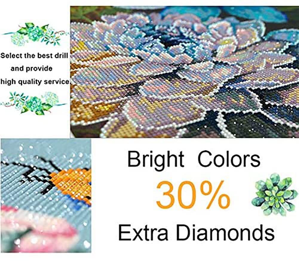 Amazon.com: DIYPAINTING DIY 5D Diamond Painting by Number Kits for