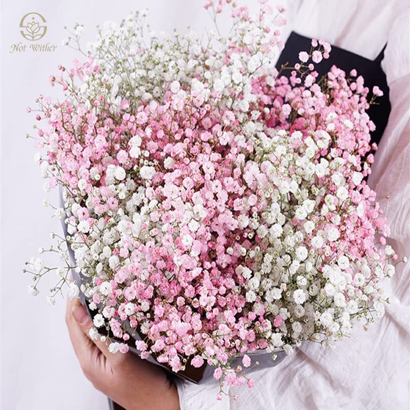 100g Flores secas Gypsophila para decoración boda miniatura 2