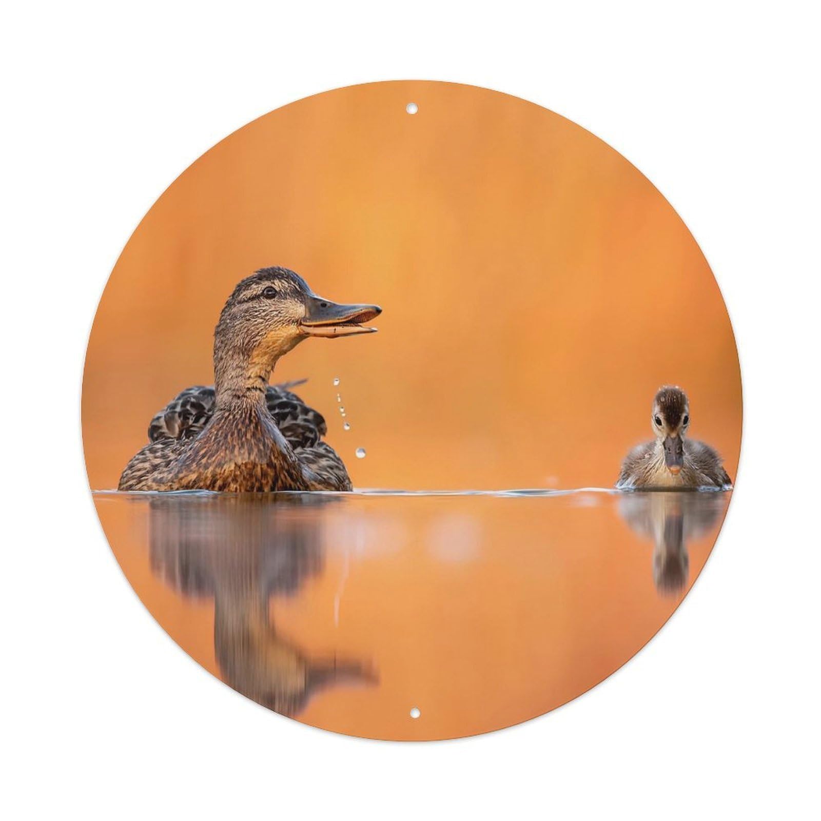 Cwbufd Vintage Style Animal Mallard Duck Pair In Water With Sunset Reflections And Water Droplets Vintage Metal Tin Sign Plaque Wall Decor For Cafe, Club Bar, Office, Garden Metal Poster 8X8inch