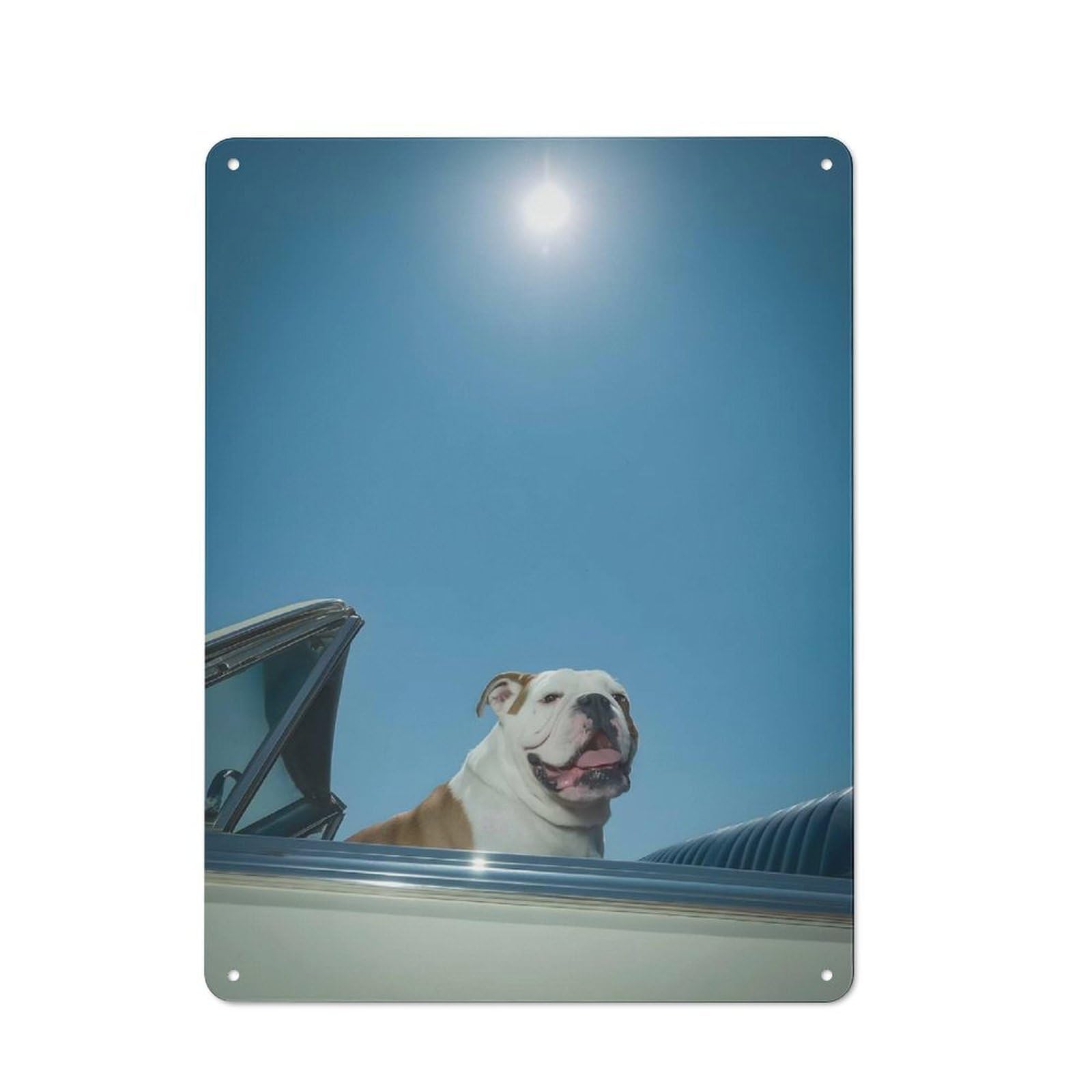 Junmoney Style-14 Cottage Style Bulldog In Convertible Under Sunny Sky Country Metal Sign 40X30cm, Farmhouse Wall Decor For Farmhouse Kitchen, Pantry Or Dining Area
