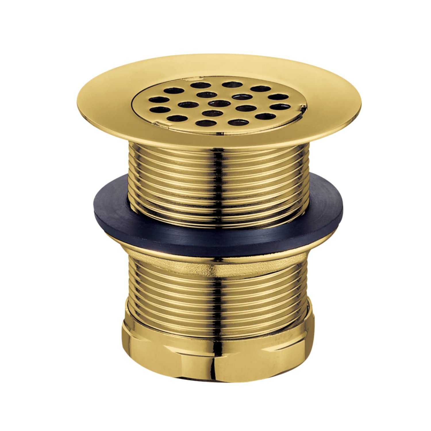 Grille d'évacuation d'évier Kingston Brass Seattle en laiton brossé de 5,1 cm