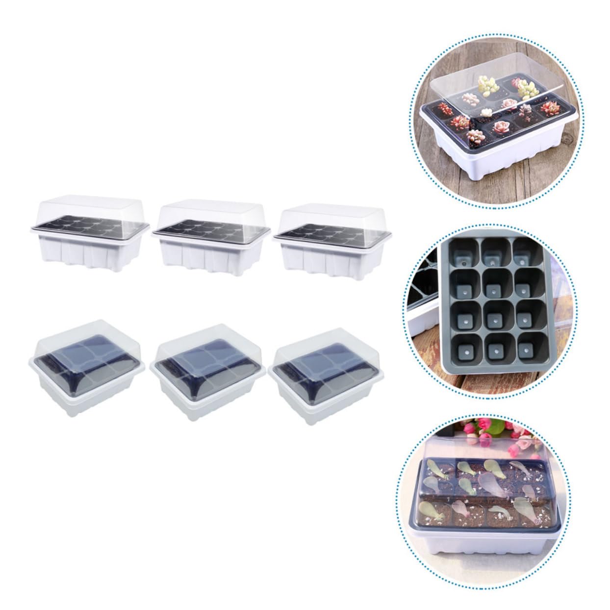 Sosoport 2 Set Scatola per Piantine Vassoi Pianta Piante Antipasto Fioriere in Piedi All'aperto Scatola di Antipasti di Verdure Piatto da Vivaio Plastica 6 Pezzi * 2
