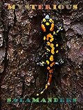 Mysterious salamanders [OV]