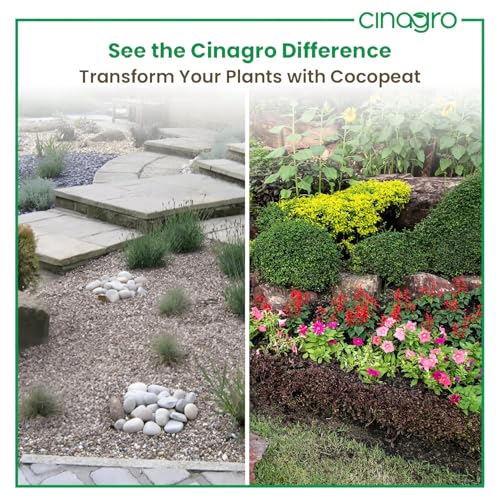 Image of Cinagro 10 Kg Organic Natural Cocopeat Powder, Ready to Use Potting Soil | Pure Husk for Plants, Moisture Retention & Root Growth for Home Gardening