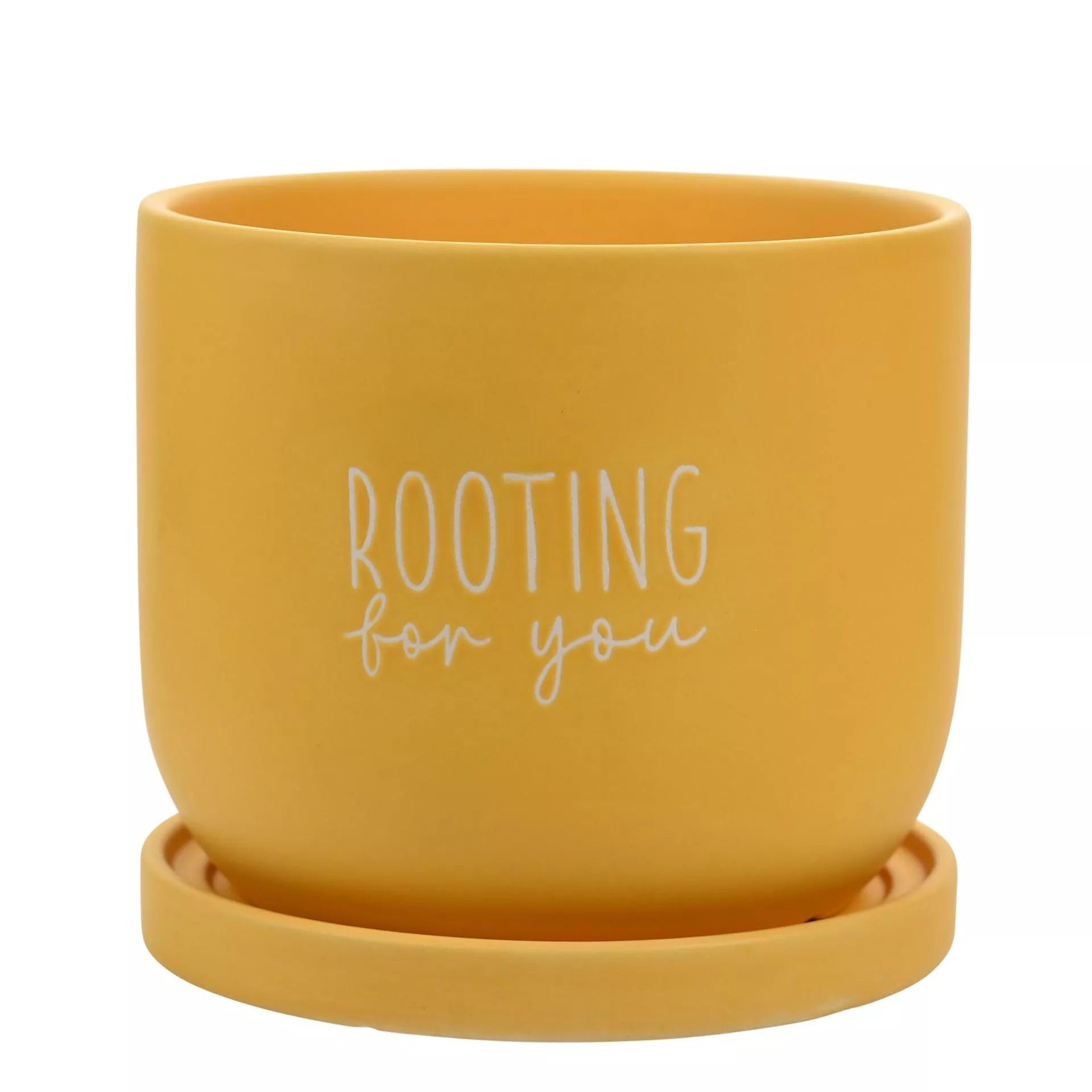 Widdop And Co Yellow Widdop Bright Ceramic Plant Pot With Saucer Rooting For You Planter Large Country Living