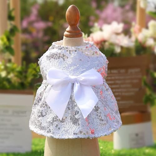  ^ ^p hX s[X EFfBOhX (S, zCg)