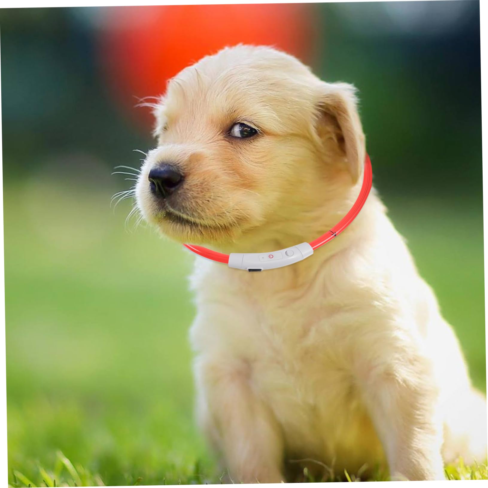 Didiseaon 3 Piezas Collar para Mascotas Collar De Perro Pequeño De Perro Pequeño De para Cachorros De Intermitente De Iluminado Brillan En El