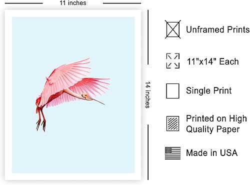 Miniatura 438 de Poster Master Póster vintage de flamenco americano, estampado retro de flamenco rosa, arte de pájaro, regalo para él, ella, amante de los animales,